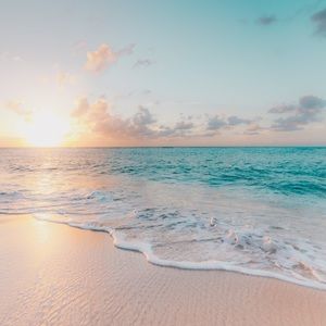 Meet your Posher, NIna